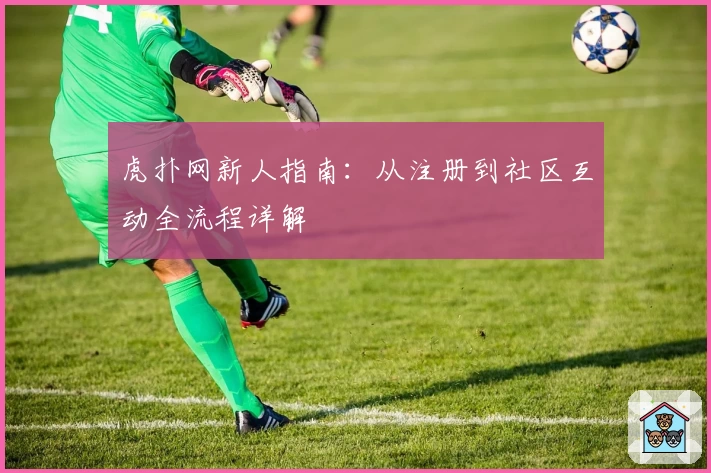 虎扑网新人指南:从注册到社区互动全流程详解