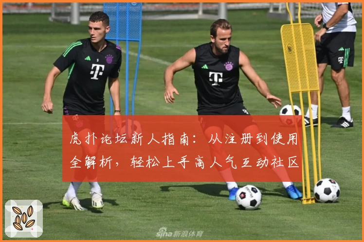虎扑论坛新人指南：从注册到使用全解析，轻松上手高人气互动社区