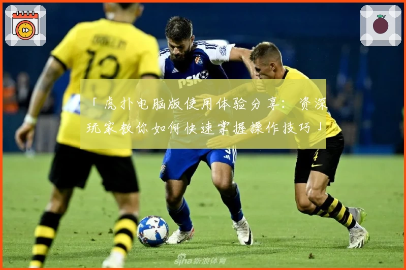 「虎扑电脑版使用体验分享：资深玩家教你如何快速掌握操作技巧」